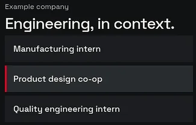 Three sample roles for an example company, with the second one selected.